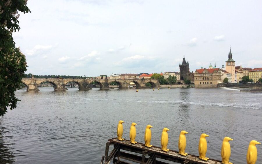 Prague: Classic City Bike Tour - Municipal House and New Town: the fast route into Prague’s layout