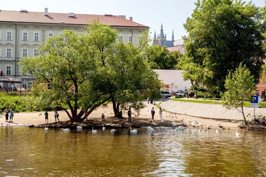 Prague Cruise: 1-Hour on the River Vltava - Prague Castle Panoramas Without The Climb