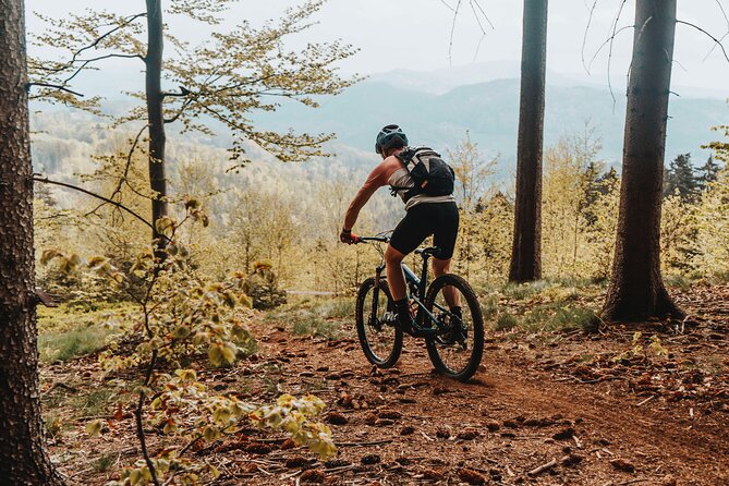 Prague E-Mountain Biking Adventure In The Bohemian Paradise - Guides make the difference: Martin, Benjamin, and Týna