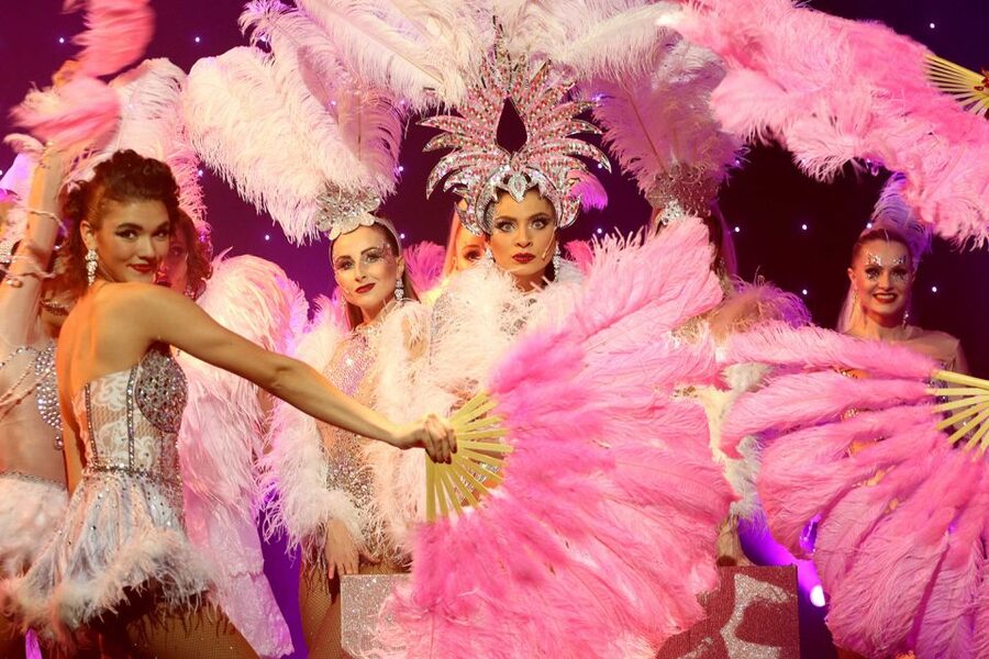 Prague: Evening Czech Cabaret Show at the Hybernia Theater - Price and value: is $57 worth it?