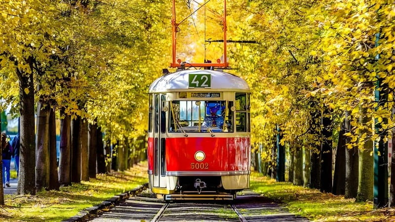 Prague: Full-Day Guided Tour of Prague in a Small-Group - Prague Castle and St. Vitus Cathedral: the stops you should watch carefully