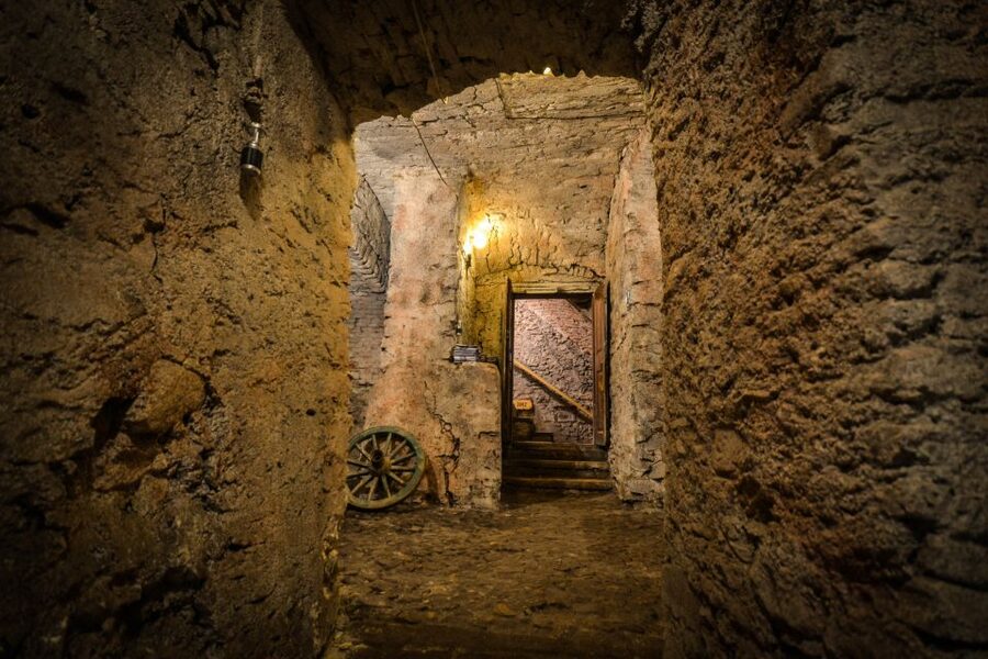 Prague: Ghosts, Legends, Medieval Underground & Dungeon Tour - Medieval Underground: plague doctor, floods, and an alchemy lab feel