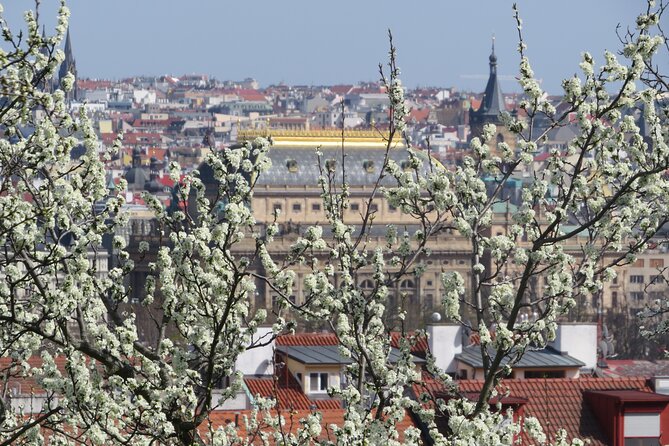 Prague Literary & Historical Tours - Literature Route - Stop 1: U Zlateho tygra and the Czech-Literature “First Chapter”