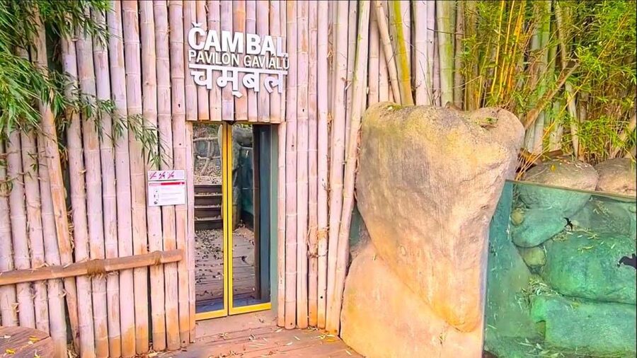 Prague: Prague Zoo Audio Guide with E-Ticket - Languages and access, for smoother days with fewer hassles