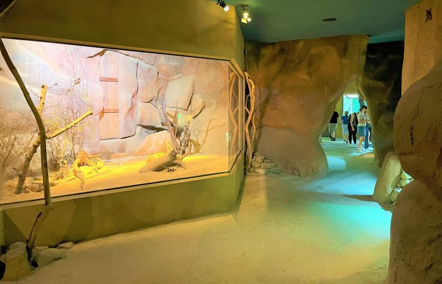 Prague: Prague Zoo Audio Guide with E-Ticket - Prague Zoo in Troja, with maps and an audio route that actually helps