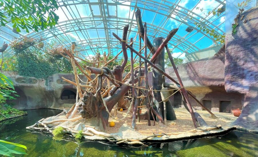 Prague: Prague Zoo Audio Guide with E-Ticket - Starting at U Trojského zámku 120/3, Troja, and where the audio tour begins