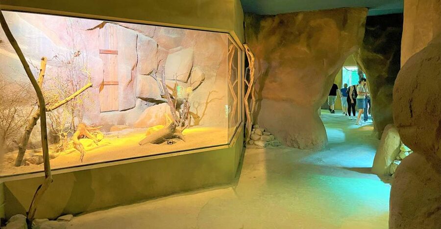 Prague: Prague Zoo Audio Guide with E-Ticket - Price and what you really get for about $22