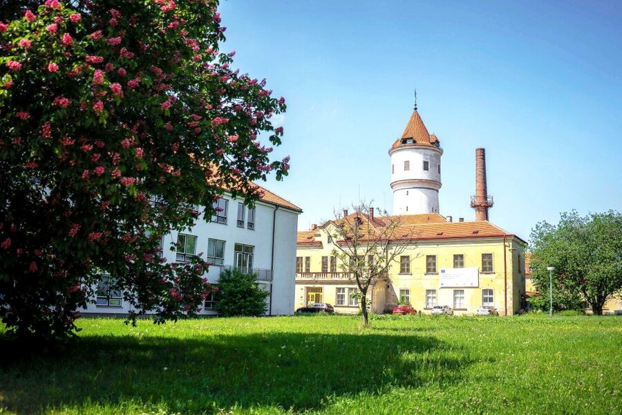 Prague: Psychiatric Hospital and Abandoned Cemetery Tour - Prague’s Bohnice tour: what you’re really signing up for