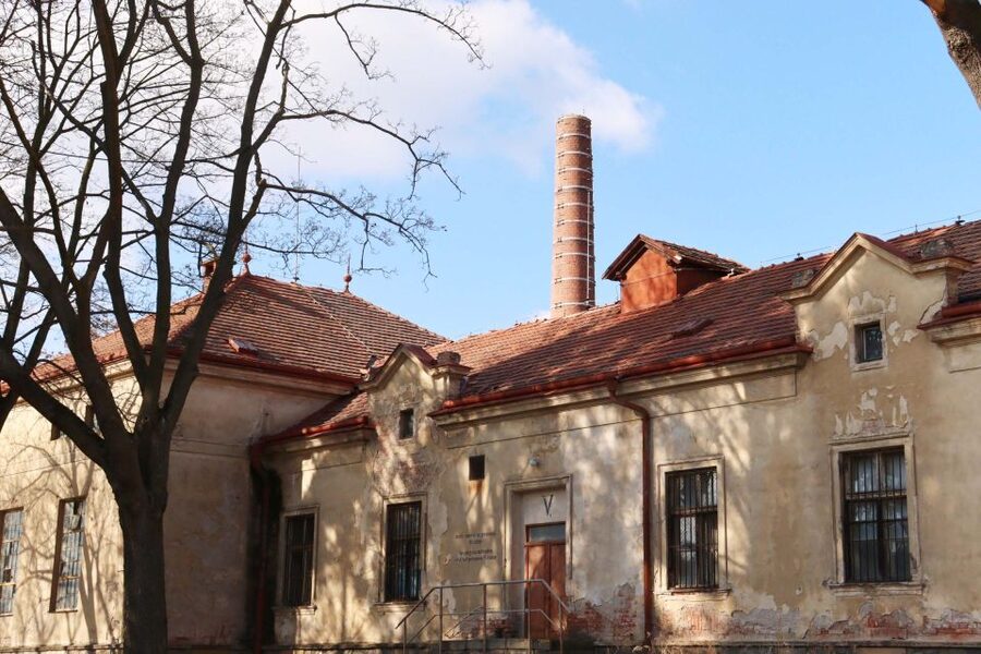 Prague: Psychiatric Hospital and Abandoned Cemetery Tour - Price and value: why $32 can feel fair for what you get