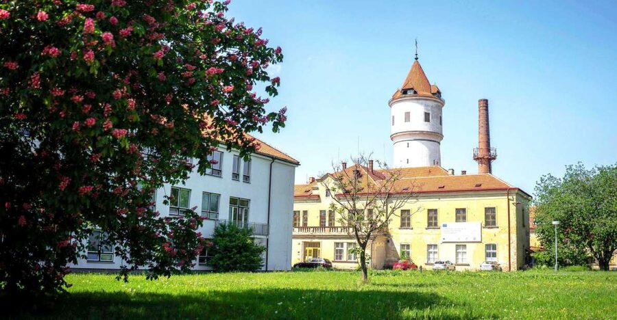Prague: Psychiatric Hospital and Abandoned Cemetery Tour - Getting to the meeting gate, and how the timing feels