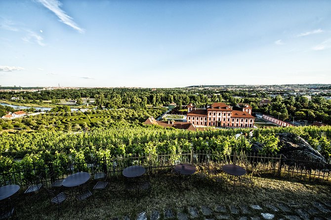 Prague´s Hidden Vineyards Private Tour - From your hotel to the vines: how the day starts