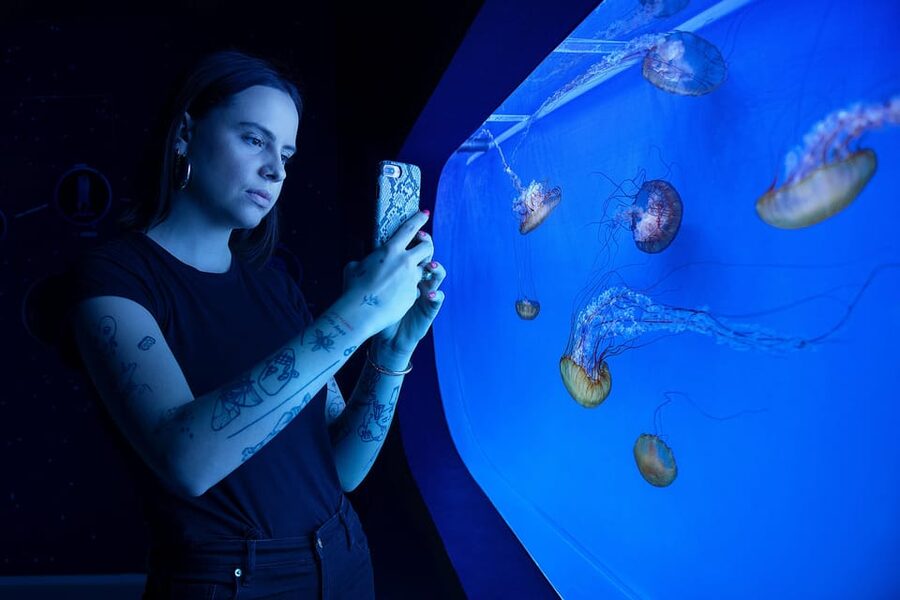 Prague: The World Of Jellyfish Entry Ticket w/ Drink - Video Mapping and Audiovisual Effects That Actually Guide You