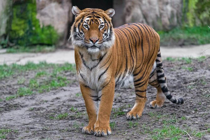 Prague Zoo Admission Ticket including Round Trip Transfer - Inside Your Independent Zoo Time, 3 to 8 Hours Works Best When You Plan