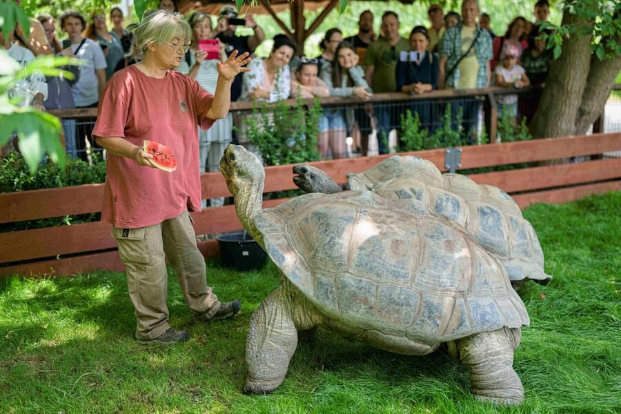 Prague Zoo: Skip-the-Line Entry Ticket - Skip-the-line entry: how to use your ticket smartly