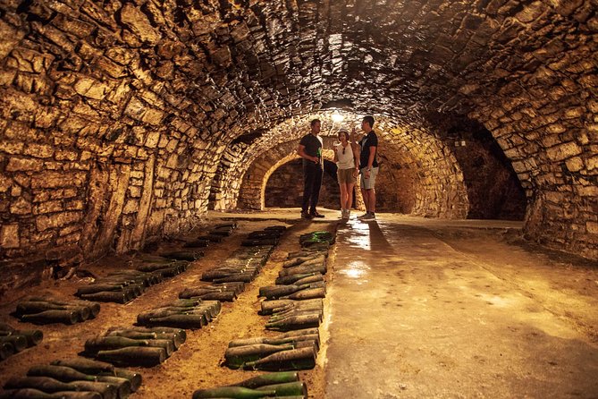 Private Bohemia Wine Tour from Prague with Gourmet Tastings - A full Bohemia day, without the Prague logistics headache