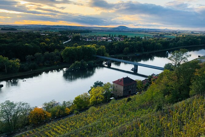 Private Bohemia Wine Tour from Prague with Gourmet Tastings - Stop 4: Johann W in Trebívlice, modern estate visit and final tasting