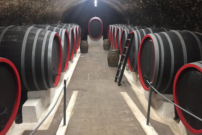 Private Bohemia Wine Tour from Prague with Gourmet Tastings - What the included tastings and lunch really do for your palate