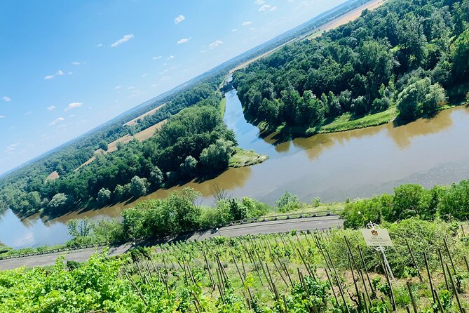 Private Bohemia Wine Tour from Prague with Gourmet Tastings - Stop 2: Žalhostice’s volcanic slopes and Vinařství Pod Radobýlem