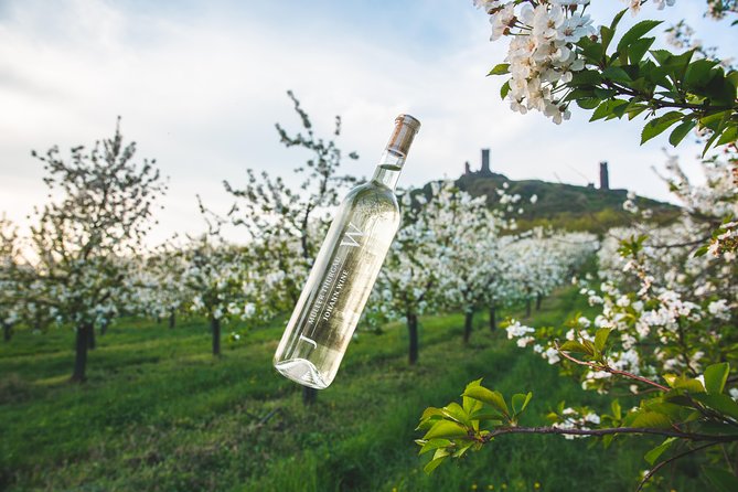Private PICNIC in Bohemian Vineyards and Wine Tasting 4WD Tour - Key things to know before you go