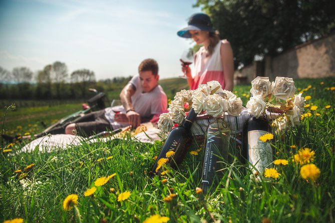 Private PICNIC in Bohemian Vineyards and Wine Tasting 4WD Tour - Off-Road Countryside Driving: Views and Guide-Led Stops