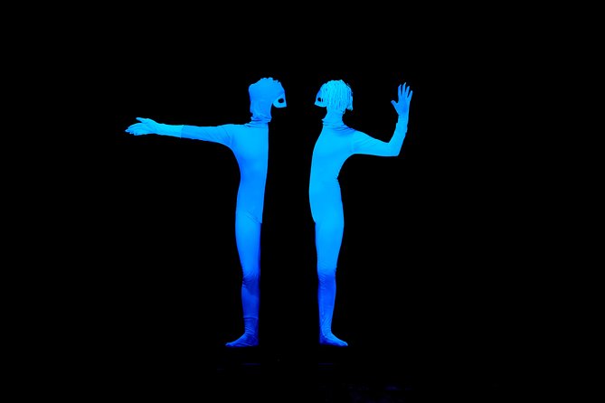Skip the Line: WOW Show Black Light Theater in Prague Ticket - Ticket price and what you actually get for $32.41