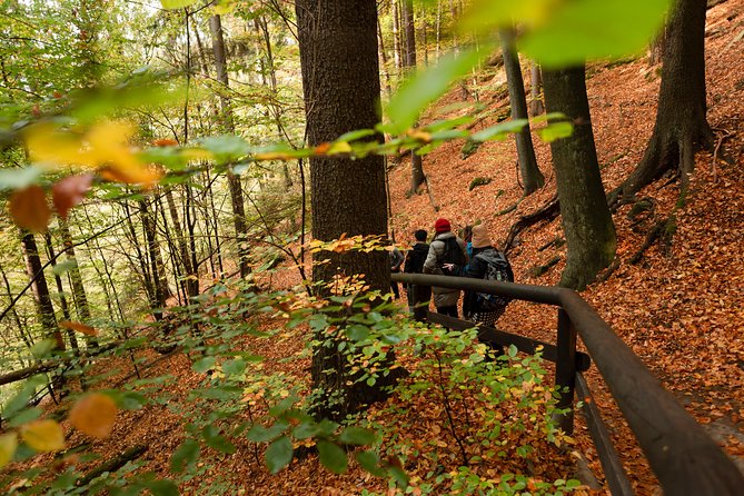 VIP Best Reviews: Bohemian & Saxon Switzerland from Prague - Tisá Rocks in Winter: Narnia-Themed Sandstone With Traction Help