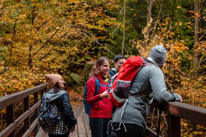 VIP Best Reviews: Bohemian & Saxon Switzerland from Prague - Kamenice River Gorges Boat Ride: Optional Calm Between Rock Steps