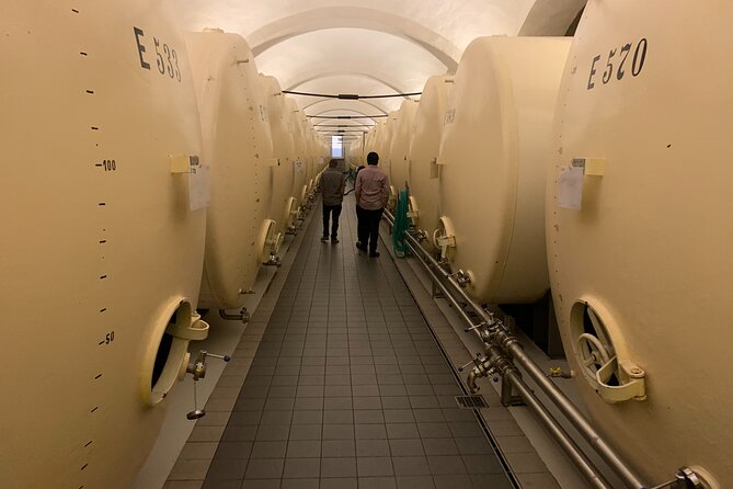 WINE, FOOD & BEER TOUR from Prague to PILSEN - What the Tastings Actually Teach You (Beyond Just Drinking)